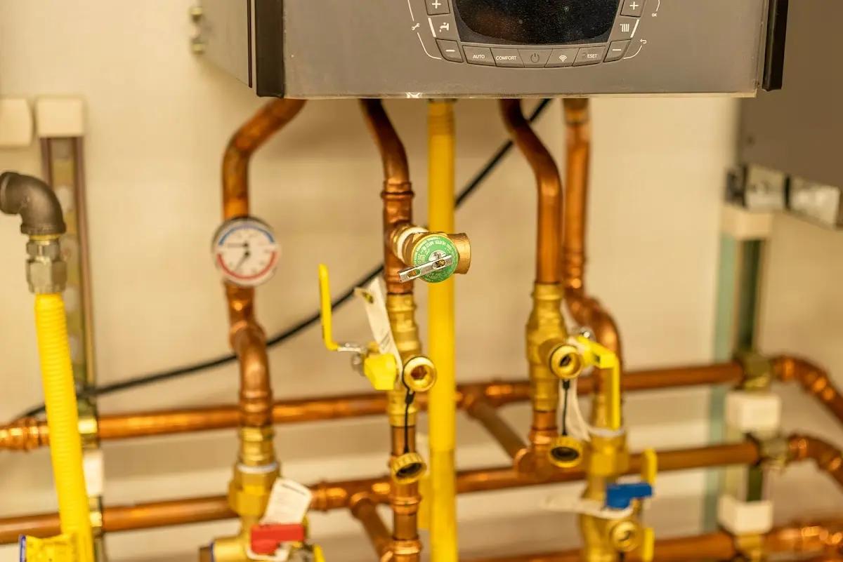 Licensed technician providing Sewer Cleanout for a homeowner in Old Lycoming